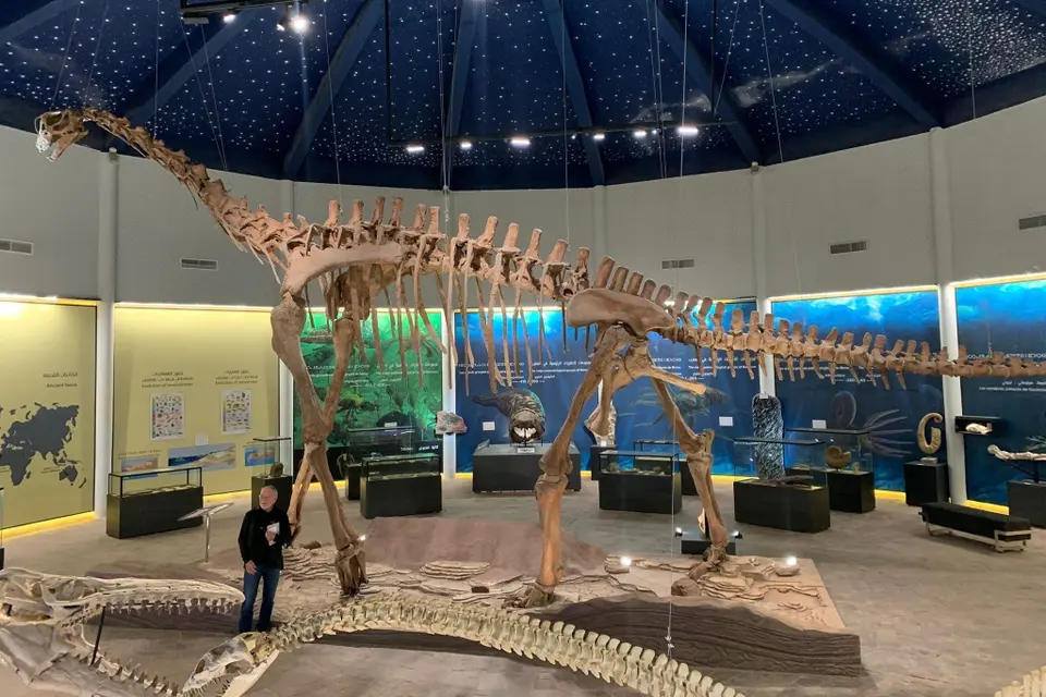 ANZA Musée des Dinosaures