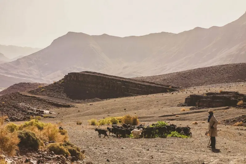 L’ANEF mise sur le Waterbox pour reboiser autrement - Actualité Agadir