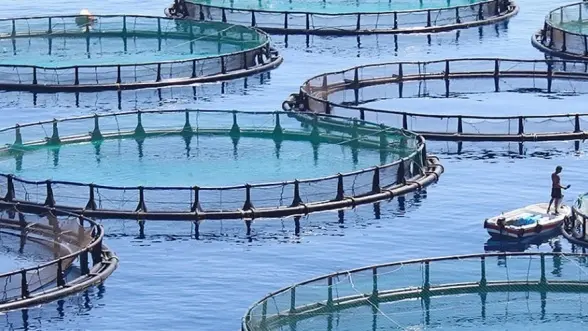Souss-Massa : 6 conventions pour le développement de l’aquaculture - Actualité Agadir