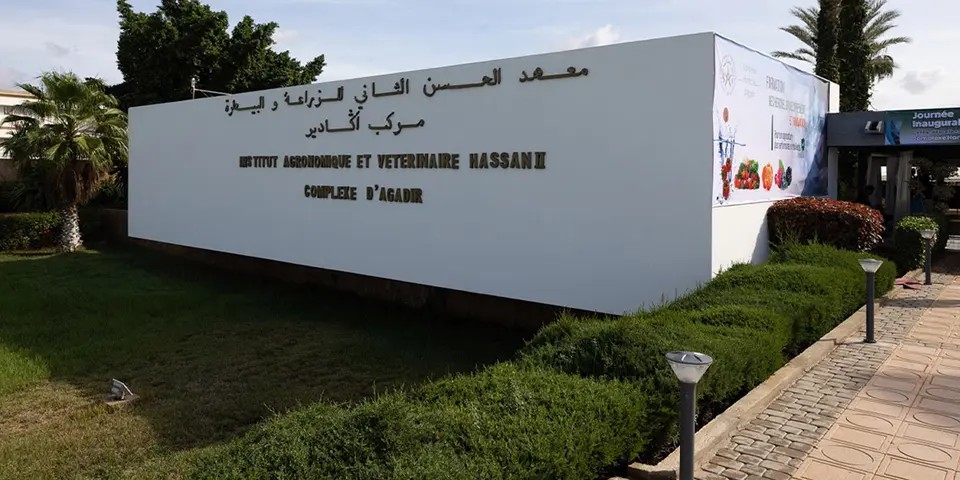 أغادير: 5,2 مليون درهم لإنشاء مختبر بيطري جديد - Actualité Agadir