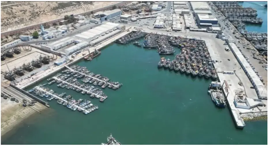 Agadir : l'ANP lance un appel d'offres pour un entrepôt frigorifique de poissons congelés au port - Actualité Agadir